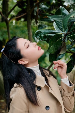 仙剑伏魔：倩女玄姬