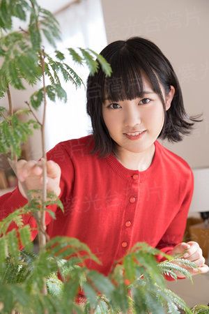 热血废柴中介第一季