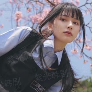 纽约骑警国语