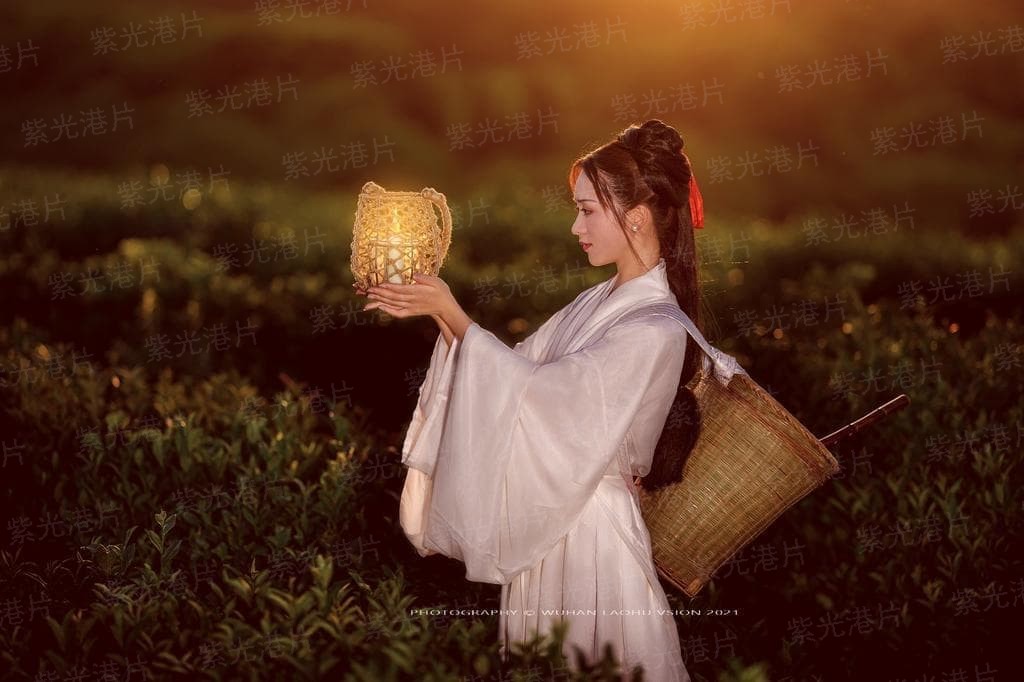 无敌看板娘