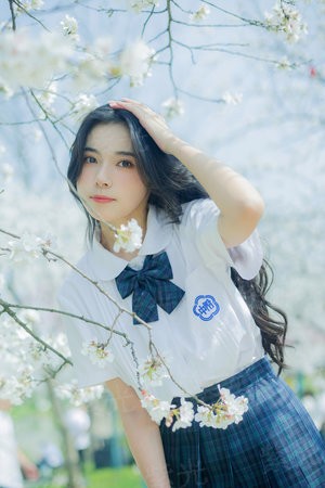 血拳之双龙劫